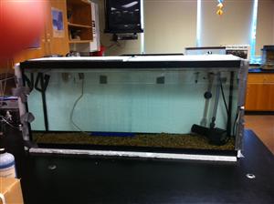 Front of Tank 